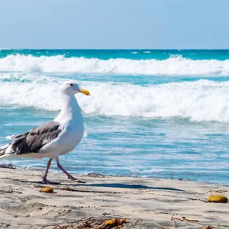 Dom wakacyjny Silbermoewe