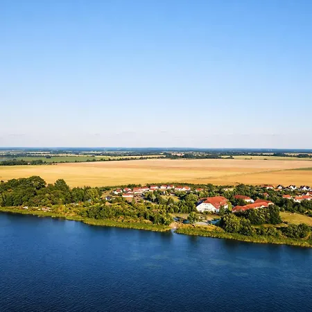 Silbermoewe Trent