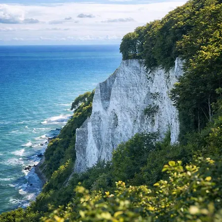 Nyaraló Silbermoewe