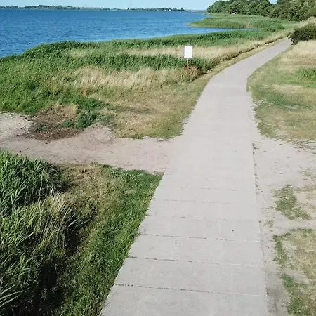 Silbermoewe *